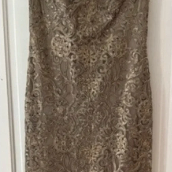 Tadashi Shoji Gown Size 8 Tan/Gold Lace Lined Cap Sleeve Wedding Formal Event